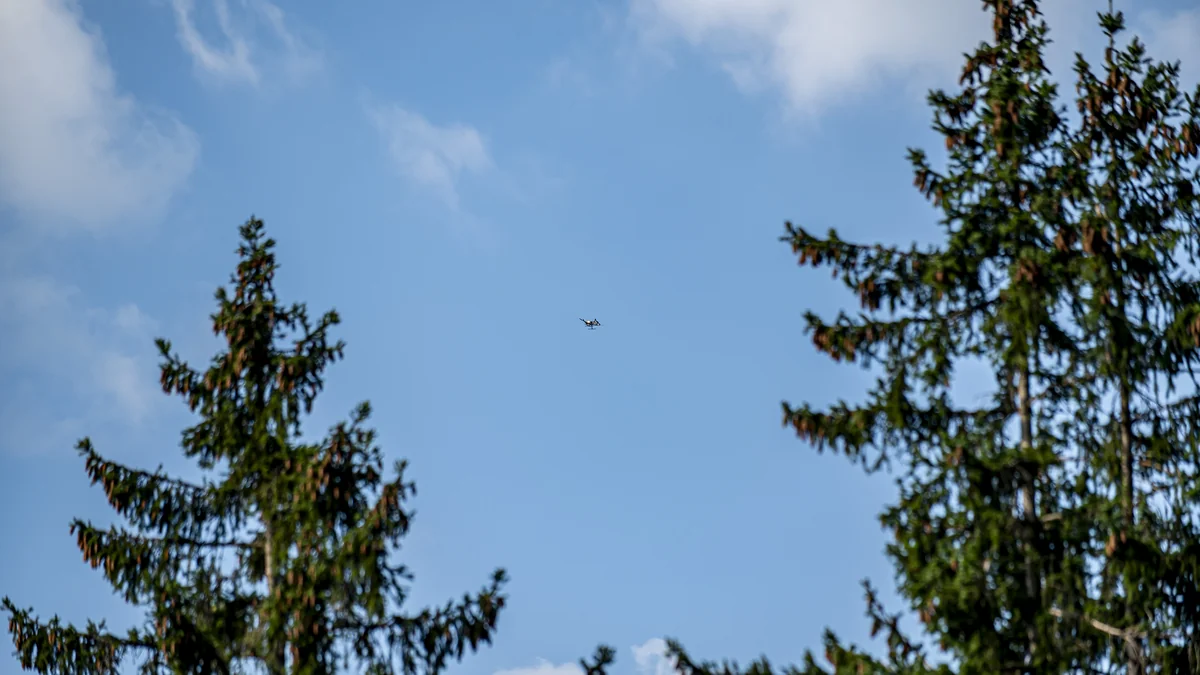 Enjambres de drones en vuelo